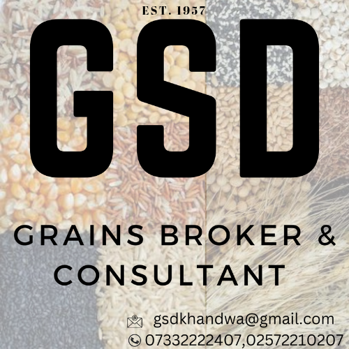 GSD Logo
